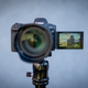 Illustration for article titled Canon EOS R Review: Beautiful Photos, But Mistakes Were Made